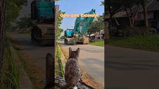 Download lagu Gara-gara excavator kucing kaget #excavator #kucing #kucingkaget #shorts mp3