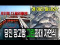 당진 장고항 그린좌대 자연식 낚시 포인트 운용법 알아보자~ 초보자도 잡아보자