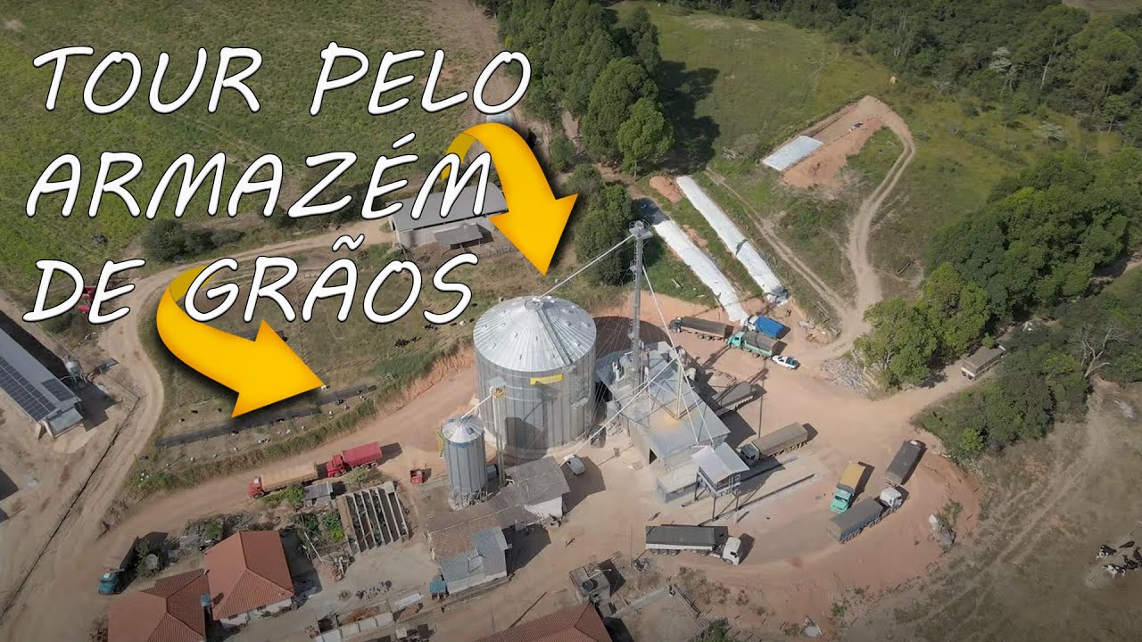 Conheça o processo de secagem e armazenagem de milho.
