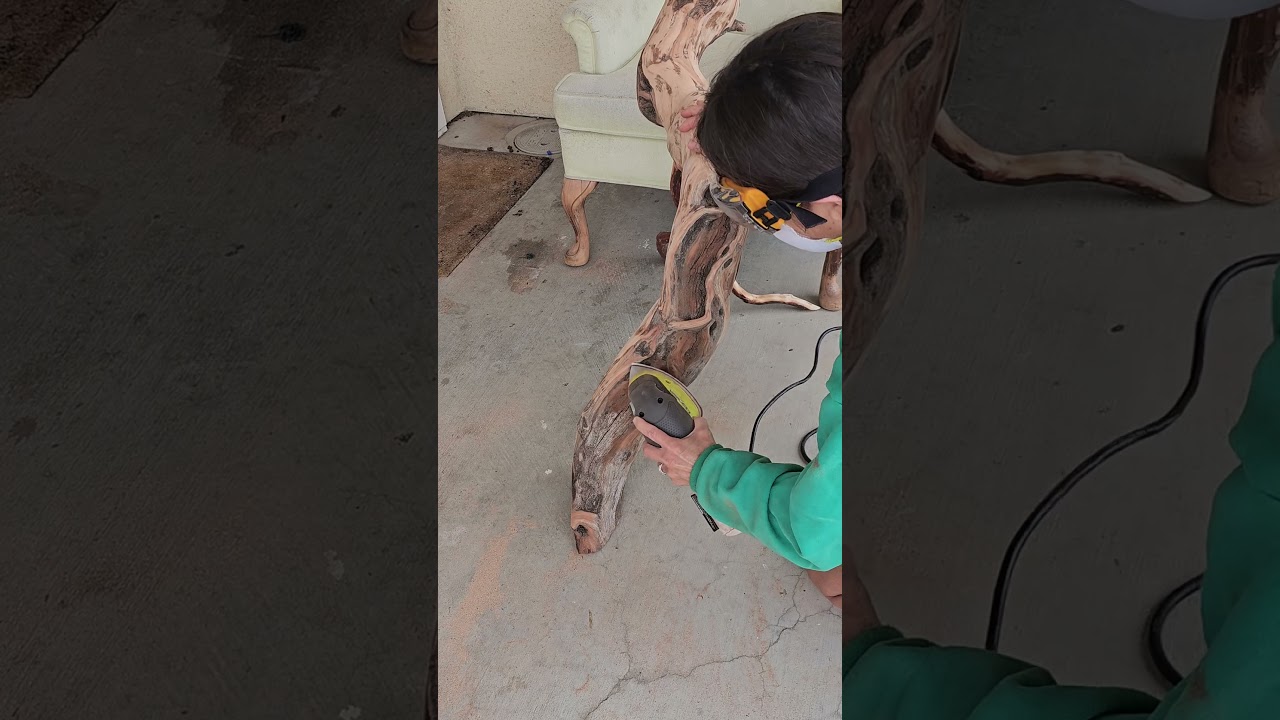 Driftwood Art: Nature's Gifts Turned into Masterpieces | A Step-by-Step Guide