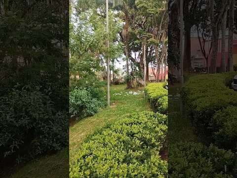 11/05/26, Campos Altos, MG.#turismo #minasgerais #viagem #camposaltos
