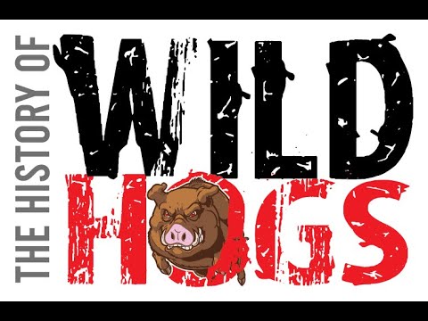 The History of Wild Hogs