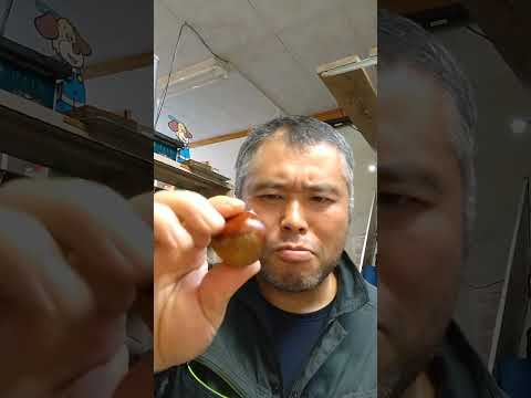 ロレーヌの茶色の栗 - 定義