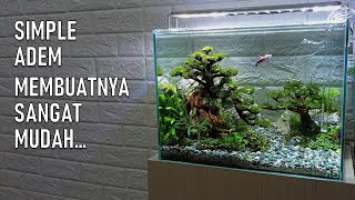 Setting Aquascape Bonsay 40cm | Kelihatan bagus padahal gampang dibuat dan gampang dirawat...