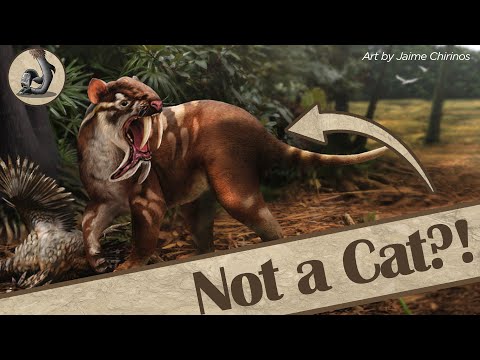 What the Hell is Thylacosmilus?!