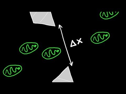 Heisenberg&#39;s Uncertainty Principle Explained - YouTube