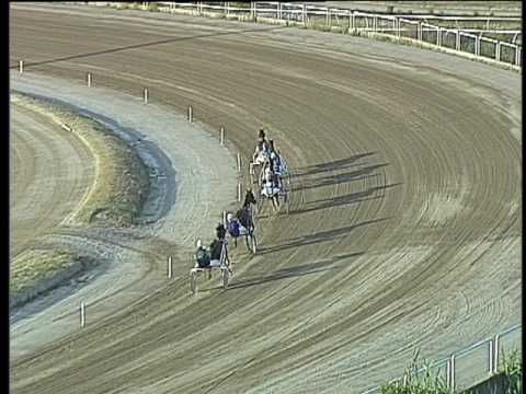 Trotto 22/07/2017 - 1ª prova di qualifica