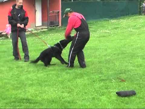 Uxi Vikar protection 6 months.wmv