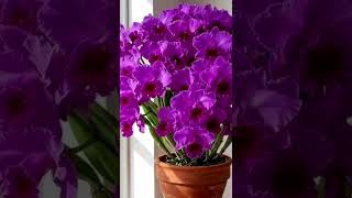 10 de dezembro de 2025