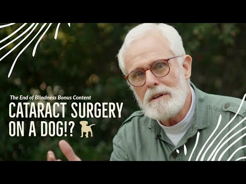 The End of Blindness