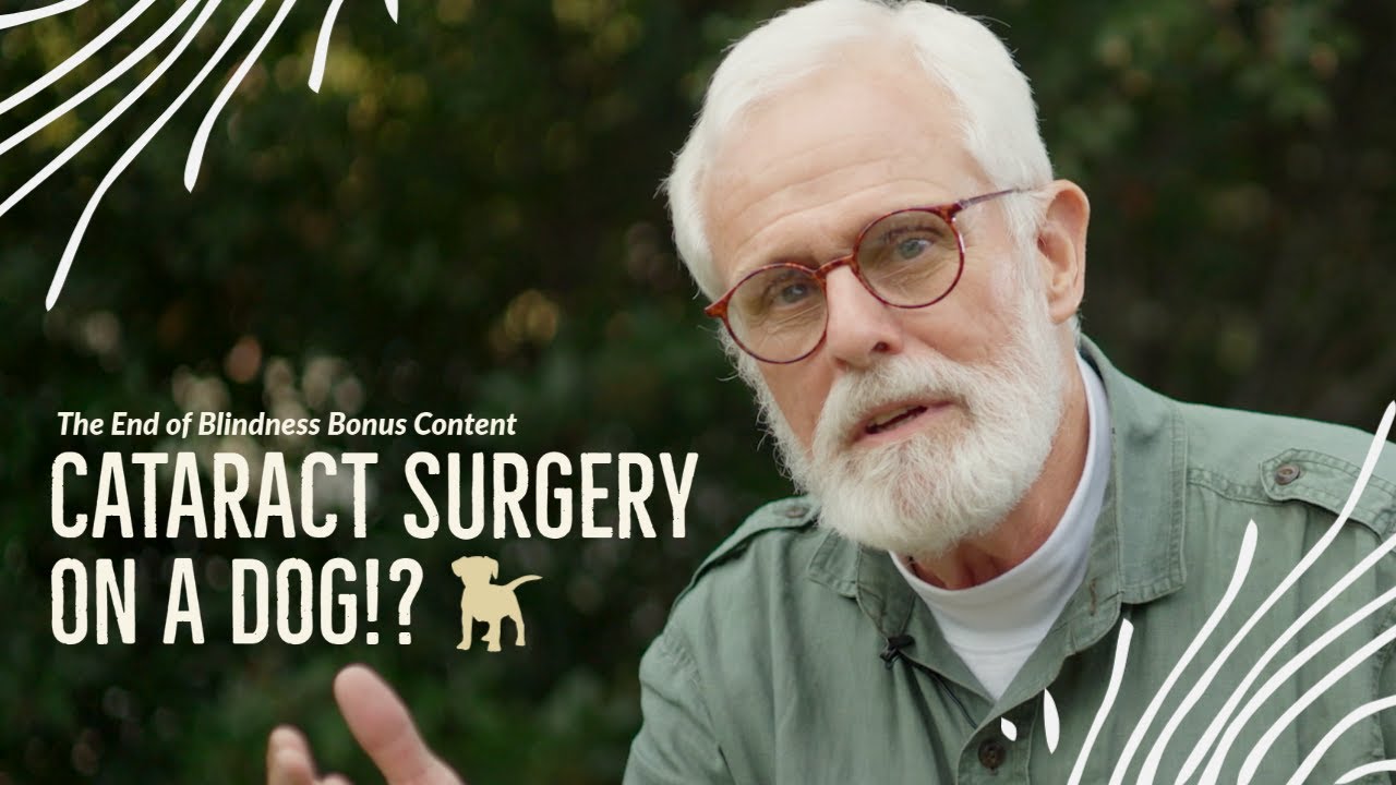 The End of Blindness | DVD Bonus Interview: Cataract Surgery on a Dog!?