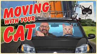 Moving Long or Short Distance with a Cat!