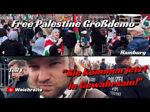 "They are now being taken into custody!" Hamburg Police "Free Palestine Mass Demonstration" Part ...