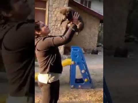 Raveena Tandon Playing With Dog