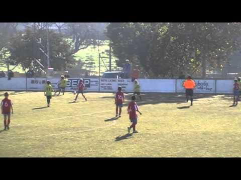 Benjamin. Cardassar A - Manacor.