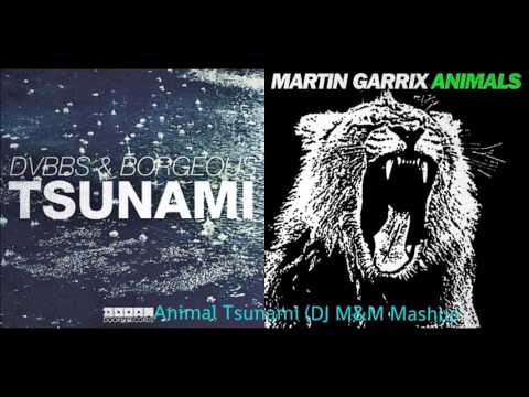 Martin Garrix vs. DVBBS & Borgeous - Animal Tsunami (DJ M&M Mashup)