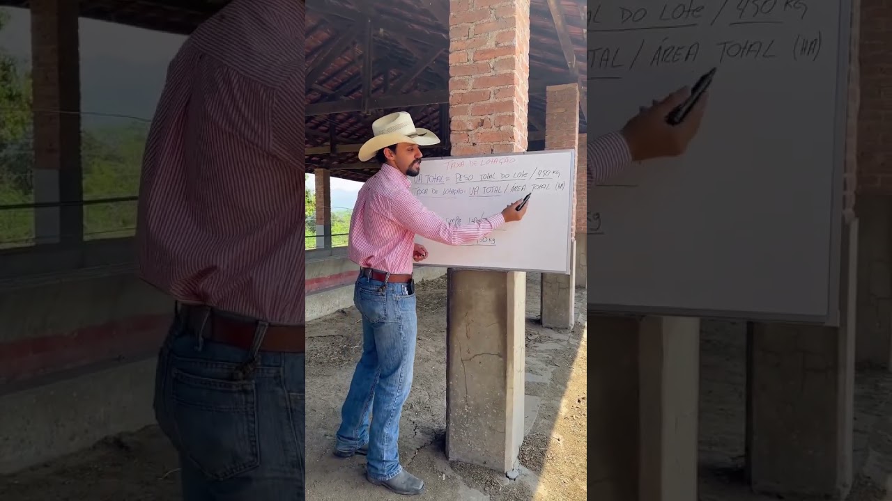 Calculando a Taxa de Lotação na Pecuária.  #pecuaria #boi #gado #fazenda #dicas #gestão