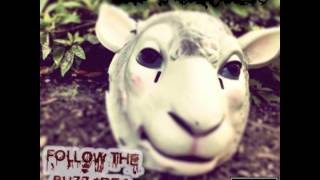 Follow The Buzzards - Audio Only