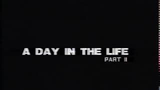 preview picture of video 'A Year in the Life trailer'