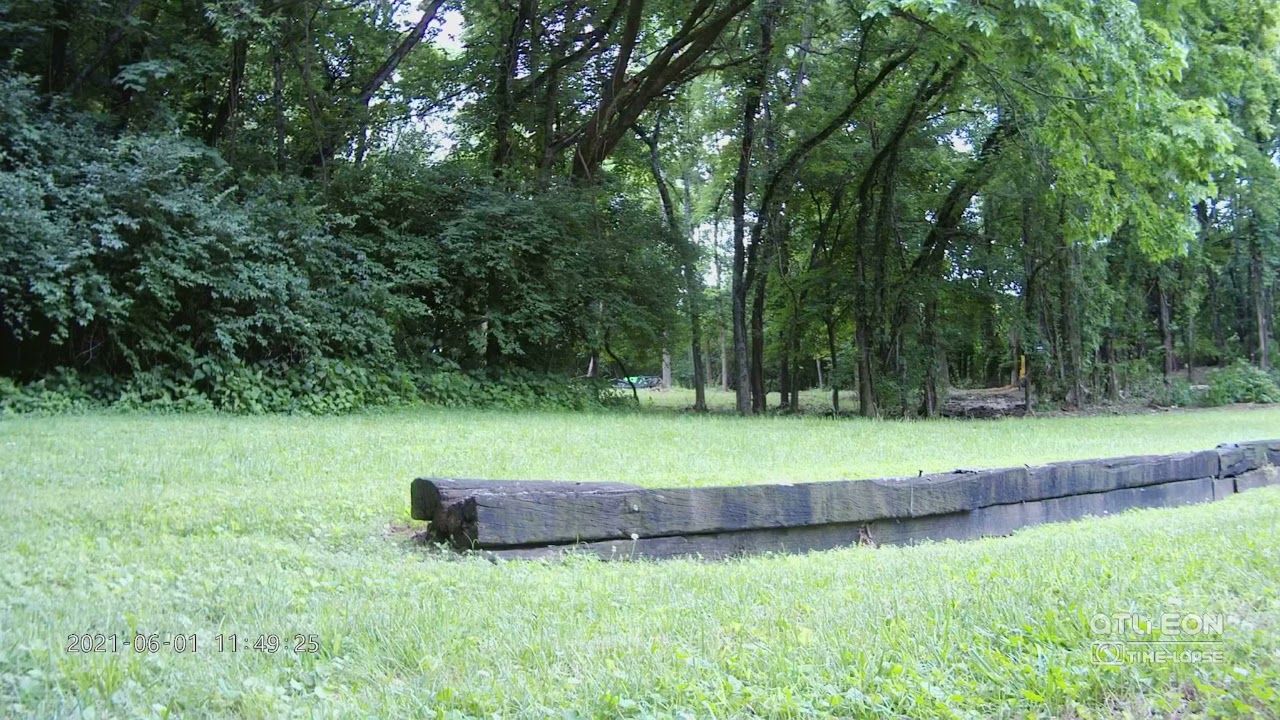 Murfreesboro Forestry Mulching Timelapse