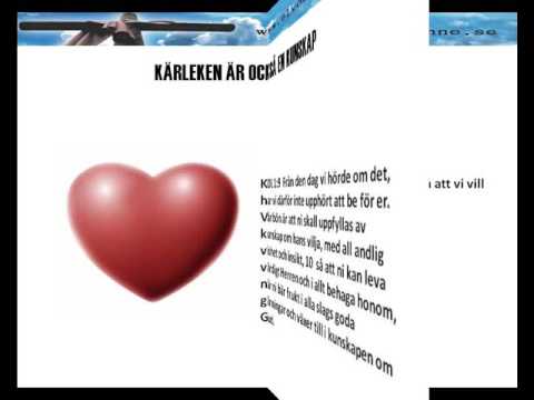 Sven Reichmann 1 Kointierbrevet