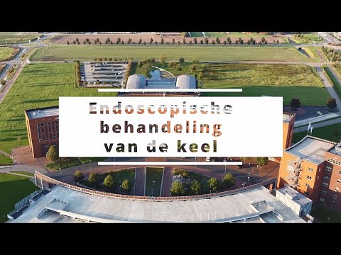 Oefeningen Filmpje