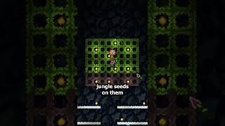 This Is The BEST Farm in Terraria
