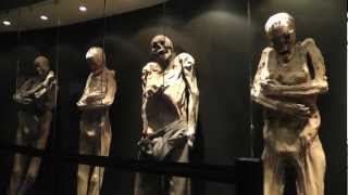 El Museo De Las Momias - Guanajuato Mexico