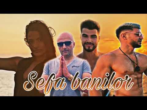 Șefa Banilor - Dodo,  Bogdan Mocanu,  Iancu Sterp,  Costi  | Lyrics