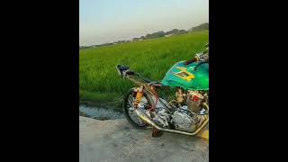 Download lagu STORY WA HEREX TIGER GANTENG😎 mp3