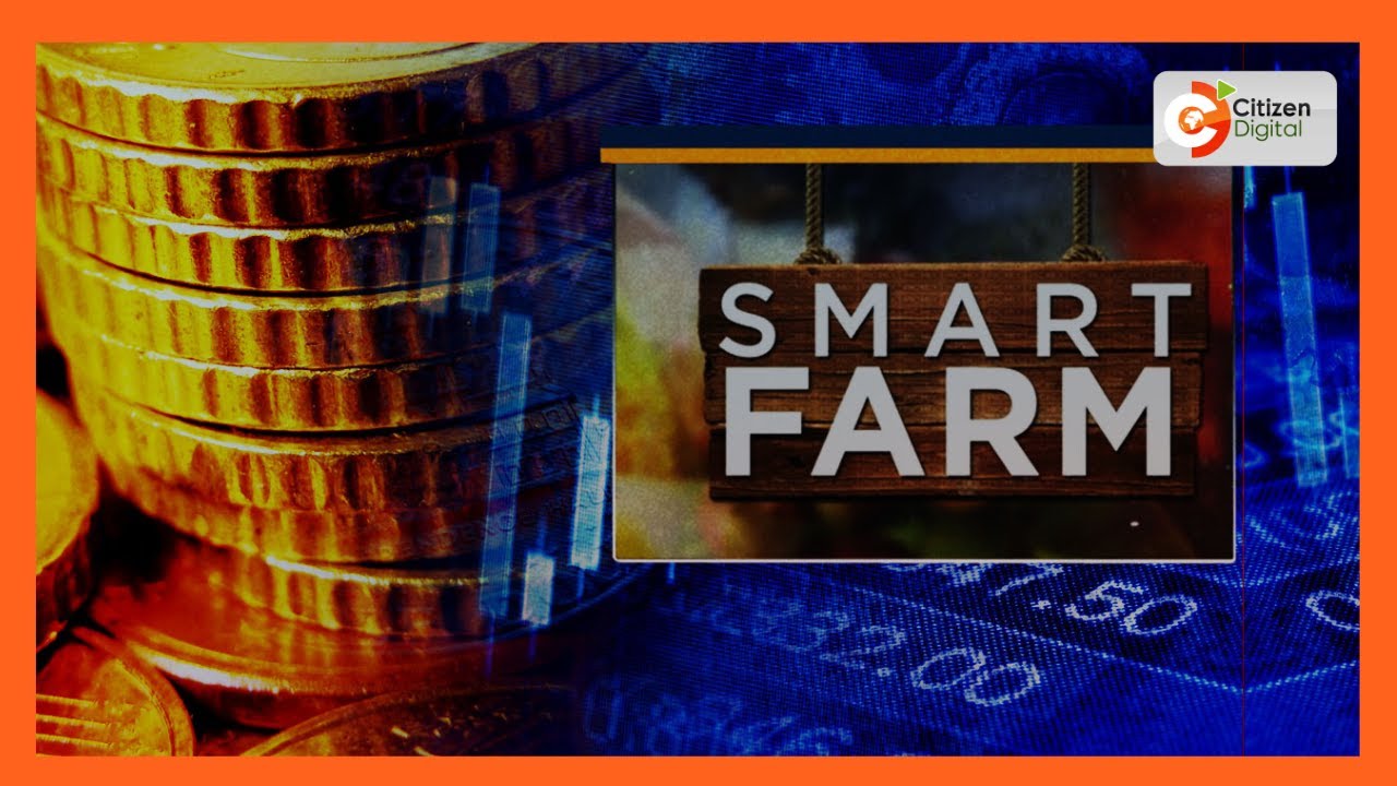 Farmer in Siaya turning wasteland into a successful farm