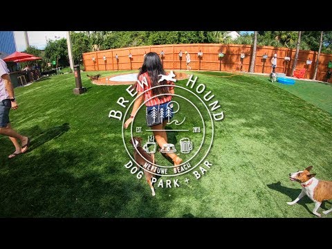 download lagu mp3 mp4 Brewhound, download lagu Brewhound gratis, unduh video klip Brewhound