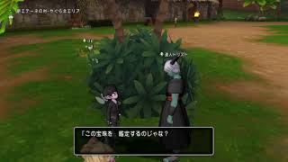 ドラクエ10　5/20（木）　宝珠集め