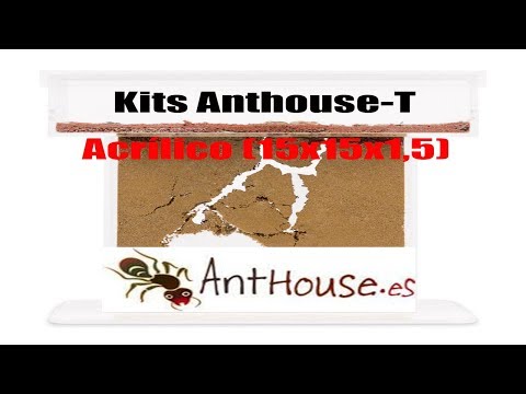 Hormiguero Kits Anthouse T Acrílico 15x15x1,5 MONTAJE