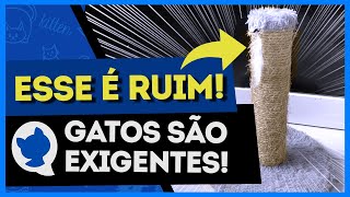 4 MOTIVOS QUE FAZEM O GATO IGNORAR O ARRANHADOR