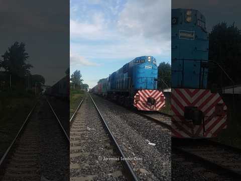 TAC 8510 #train #amazing #argentina #railway #fyp #viral #shorts #video #youtube #trenesargentinos