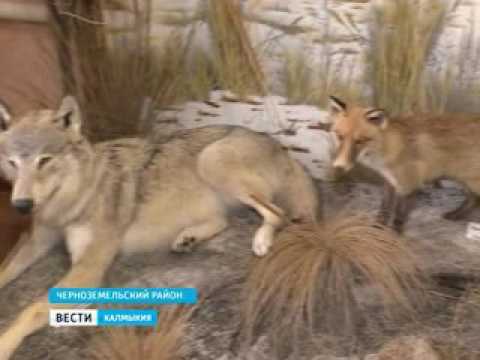 Вести «Калмыкия»: дневной выпуск 12.01.2017