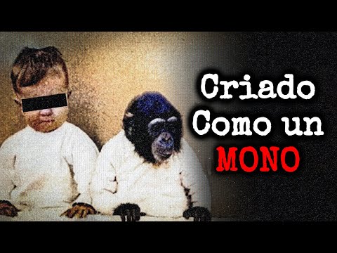 No Busques Esto – Vol. 3