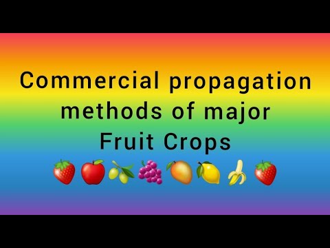 Commercial Propagation Methods of Major Fruit Crops | LECTURE MONDAY