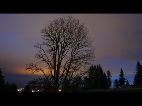 2018-01.24 Lafarge Lake+添(-45°C추위+火病 다스리기8)