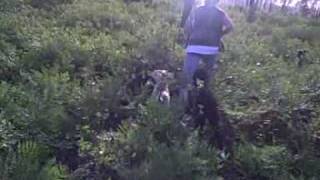 May 4th hunt with Hog Man Geno and lady hunter