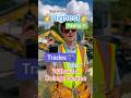 Highest Paying Trades Jobs ️ ‍ ️ Jobs Trades Electrician