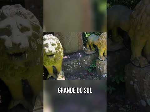 Não acreditei nisso 😃 CASTELO PEDRAS ALTAS #shorts #