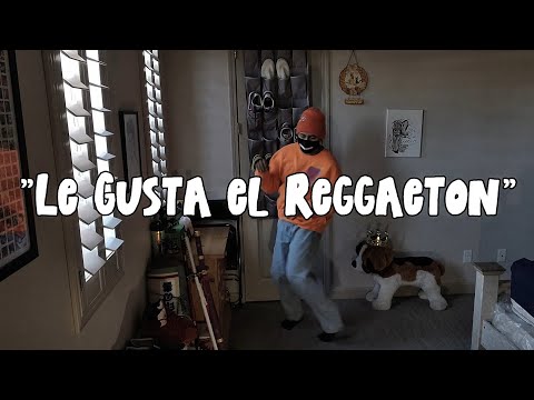 Le Gusta el Reggaeton - Dj Plaga - Dance By Shyy Boy