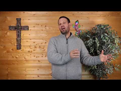 Gedanken zum Tag (15.05.2020)