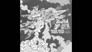 Love Is Our Nationality  - Build an Ark