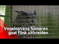 Het vogelasiel in Someren kan dit najaar drie keer zoveel vogels opvangen