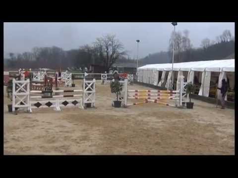 Heiniger-Pferde.com, Numero Uno x Burgraaf, KWPN, Stute, 2007