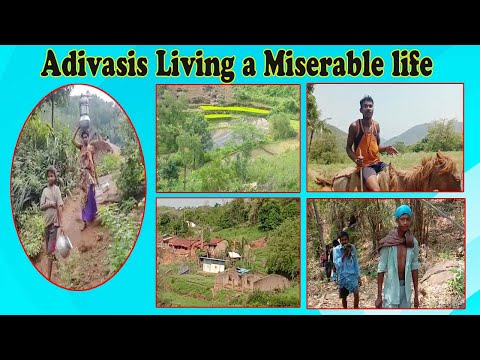 Special Story: Agency Lack of Infrastructure Adivasis Living a Miserable life in Araku,Visakhapatnam,Vizagvision...