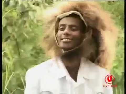 mishingaa gamoojii ararsa gebisa bara 2000